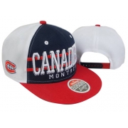 Montreal Canadiens Stitched Zephyr Snapback Hats
